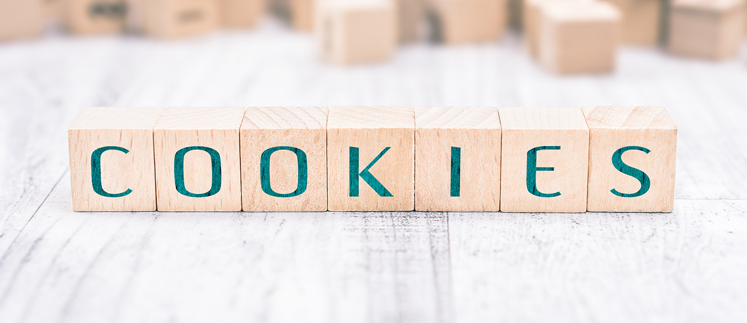 Website Cookie Policy For Dude Motel