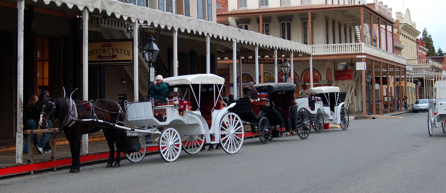Explore Exciting Things To Do In West Sacramento